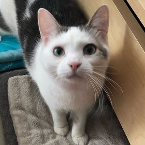 Meet your Posher, Kaitlin